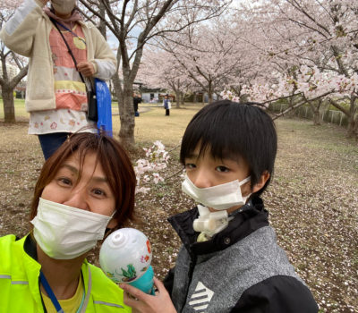 毎日がお花見🌸